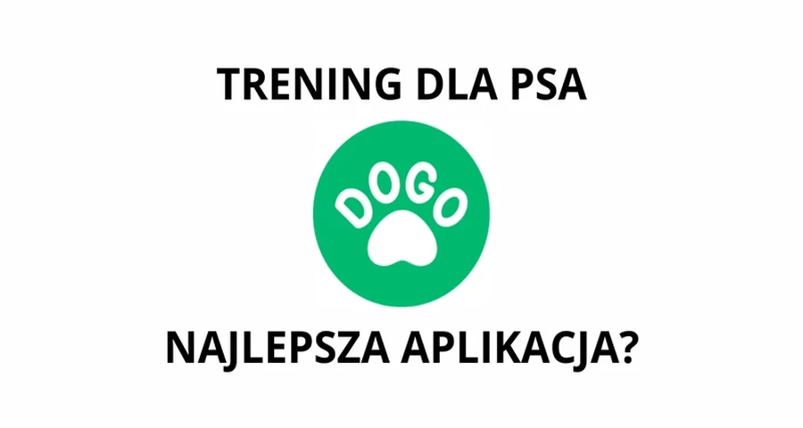Dogo - aplikacja dla właścicieli psów
