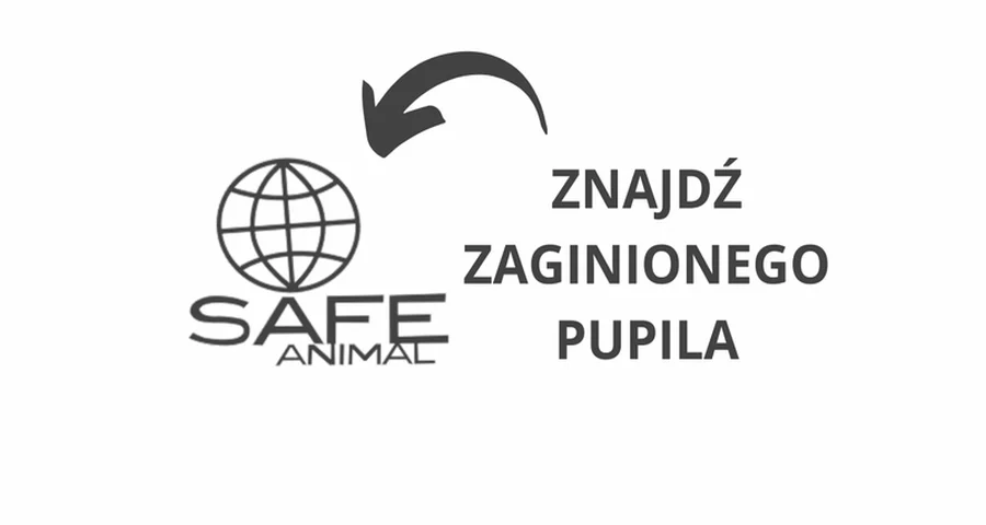SAFE-ANIMAL - aplikacja